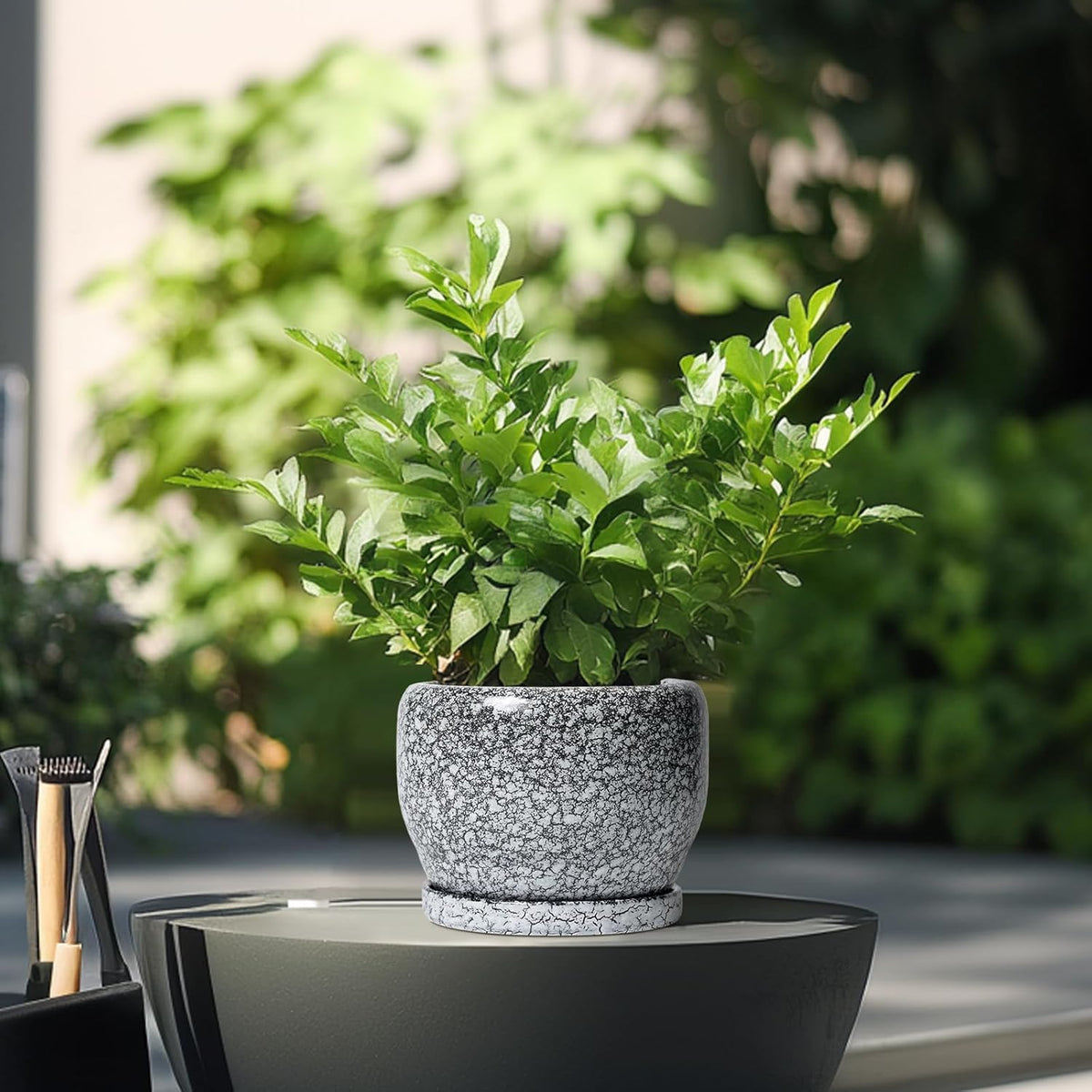SQOWL Ceramic Pot for Plants - 6 Inch Ceramic Planter for Indoor Outdoor, Decorative Plant Pot with