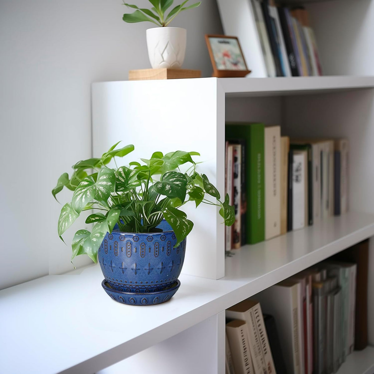 G EPGardening Plant Pot 5 Inch - Ceramic Planter for Indoor Plants Outdoor, Succulent Orchid Pot