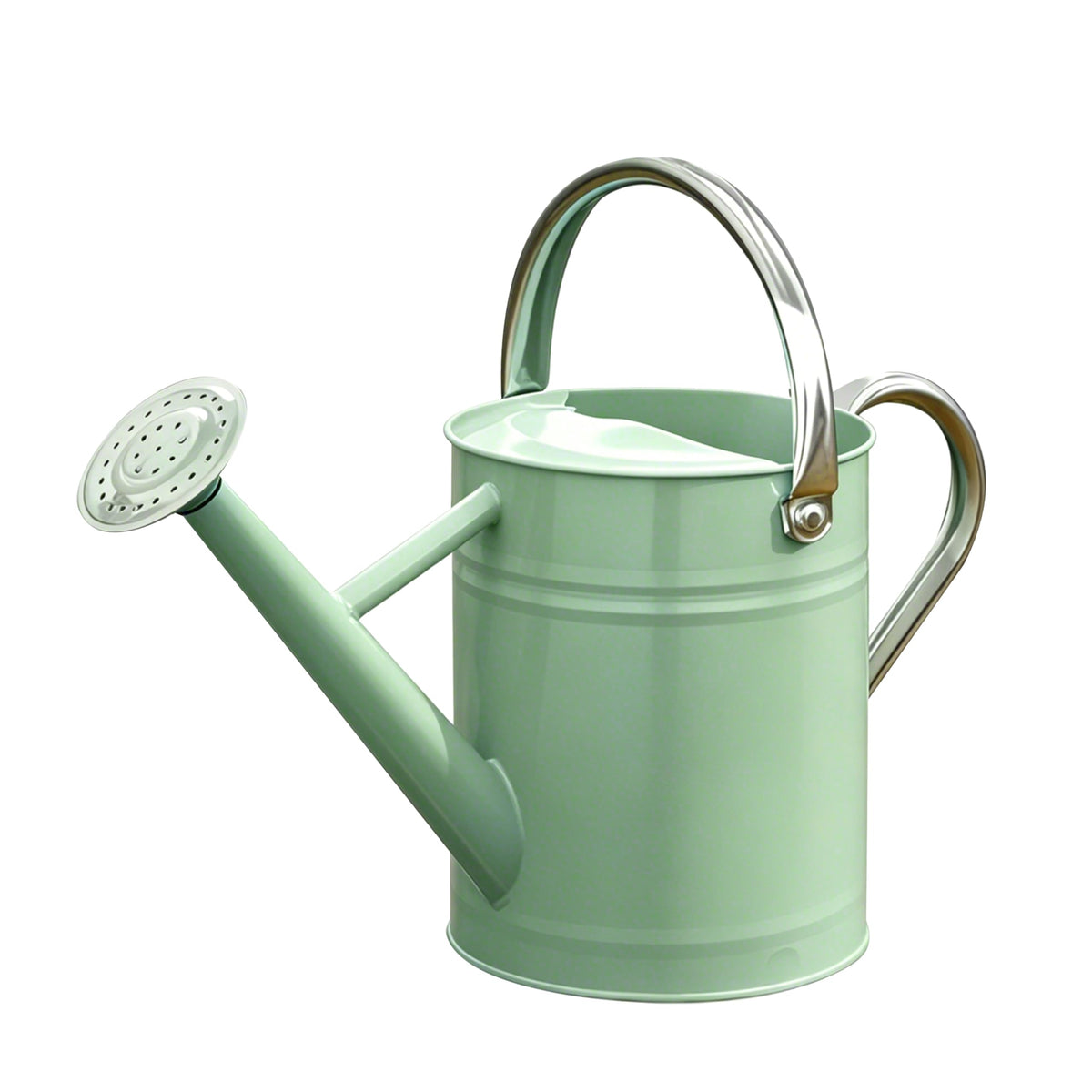 Metal Watering Can for Outdoor Plants, Watering Can 1 Gallon,Cream Green