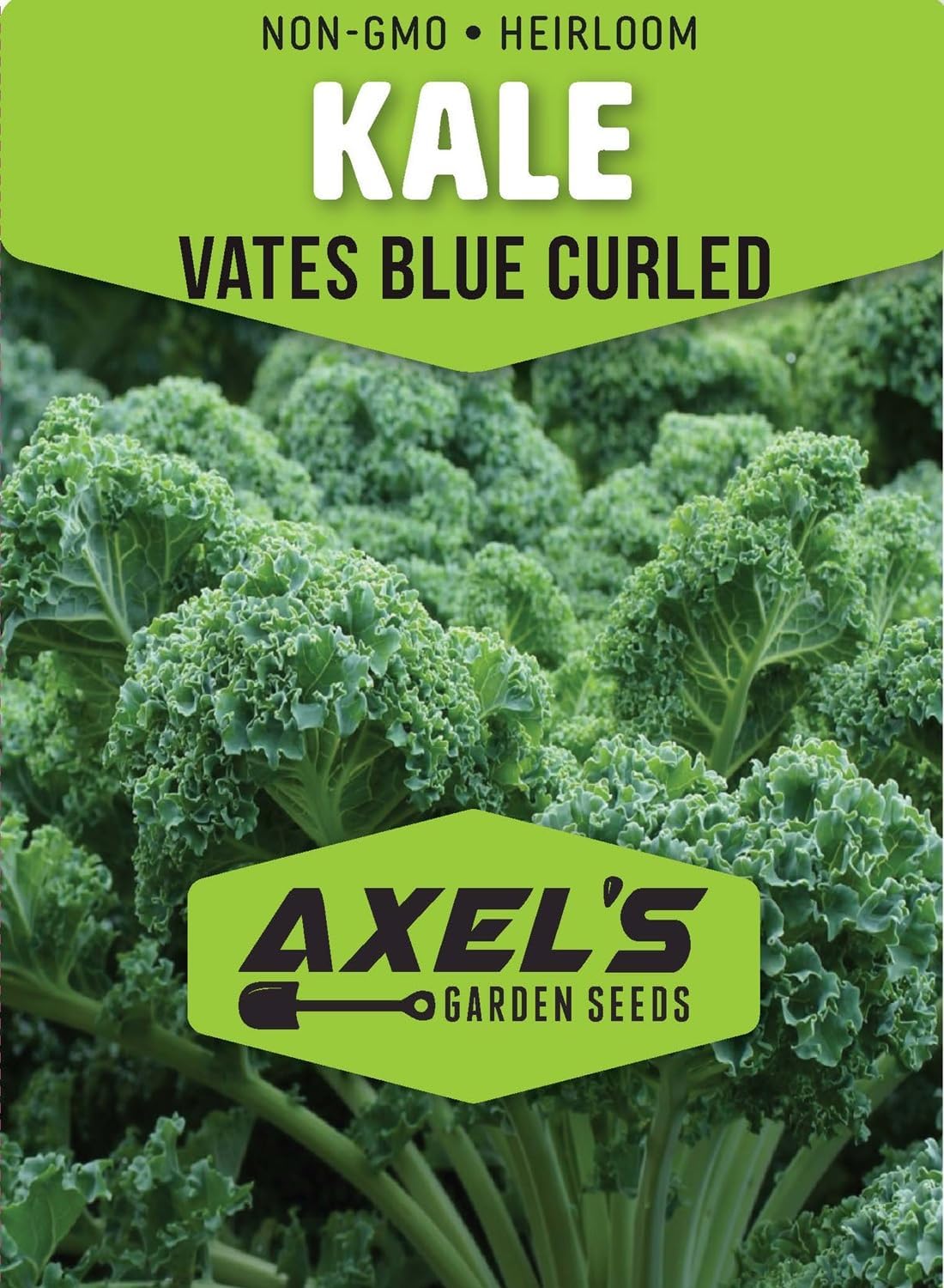 Kale Seeds for Planting - Plant & Grow Heirloom Kale Varieties Home Outdoor Garden – Easy Grow