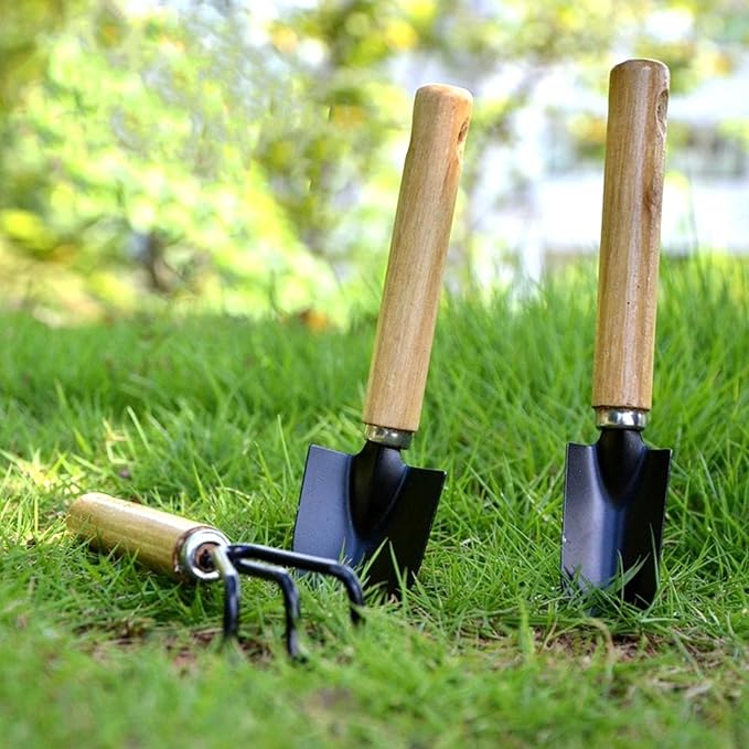 3 Pcs Mini Garden Tools Set Small Tiny Shovel Trowel and Hand Rake with Solid Wood Handle Indoor
