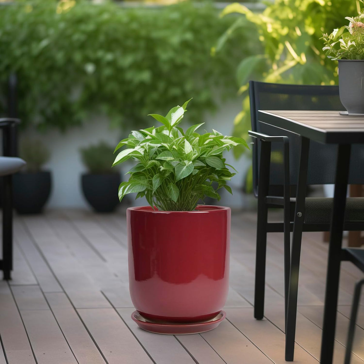 Ceramic Planter for Plants - 10 Inch Plant Pot Indoor with Drainage Hole and Saucer Modern Large