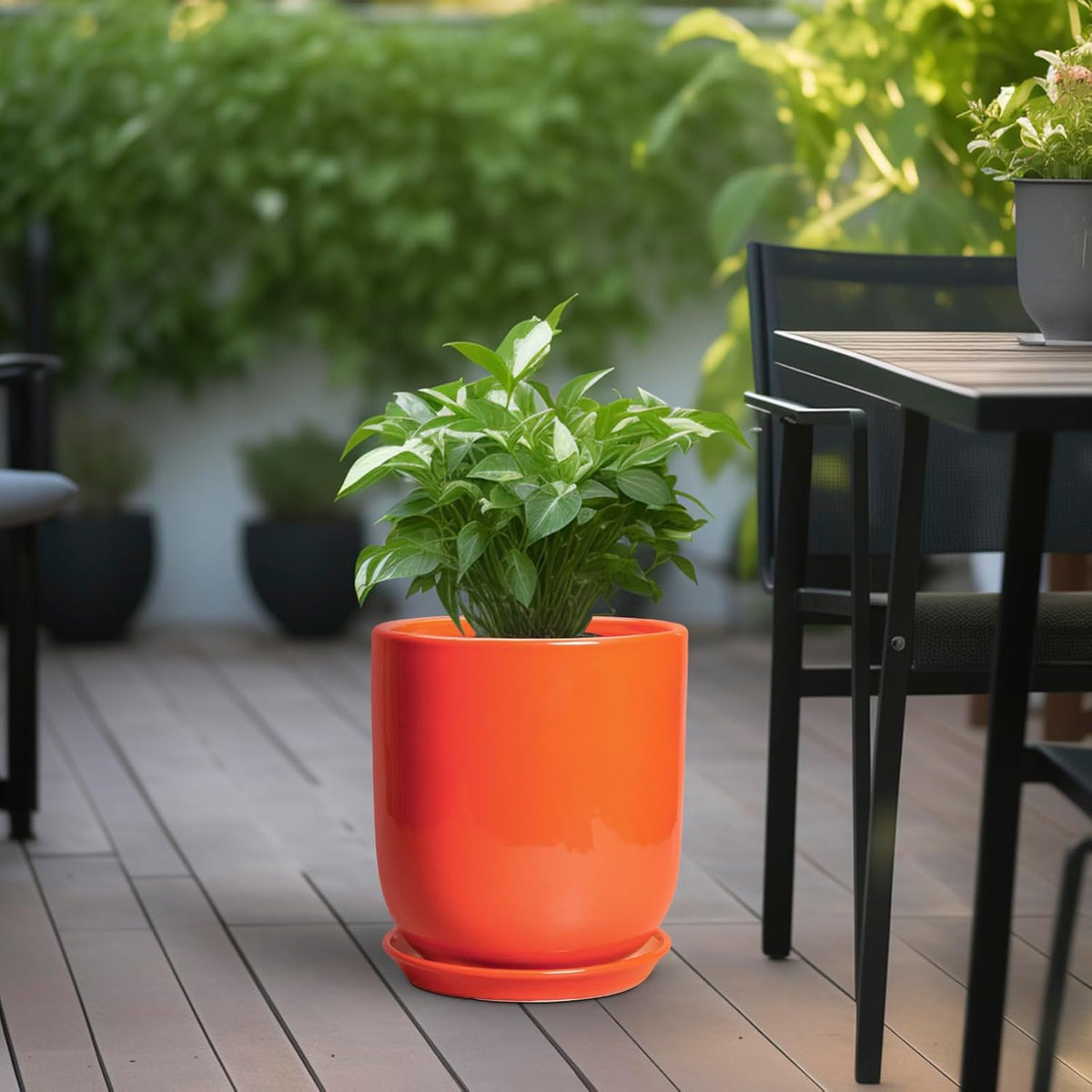 Indoor Planter 10 Inch - Ceramic Plant Pot with Drainage Hole and Saucer, Modern Decorative Round