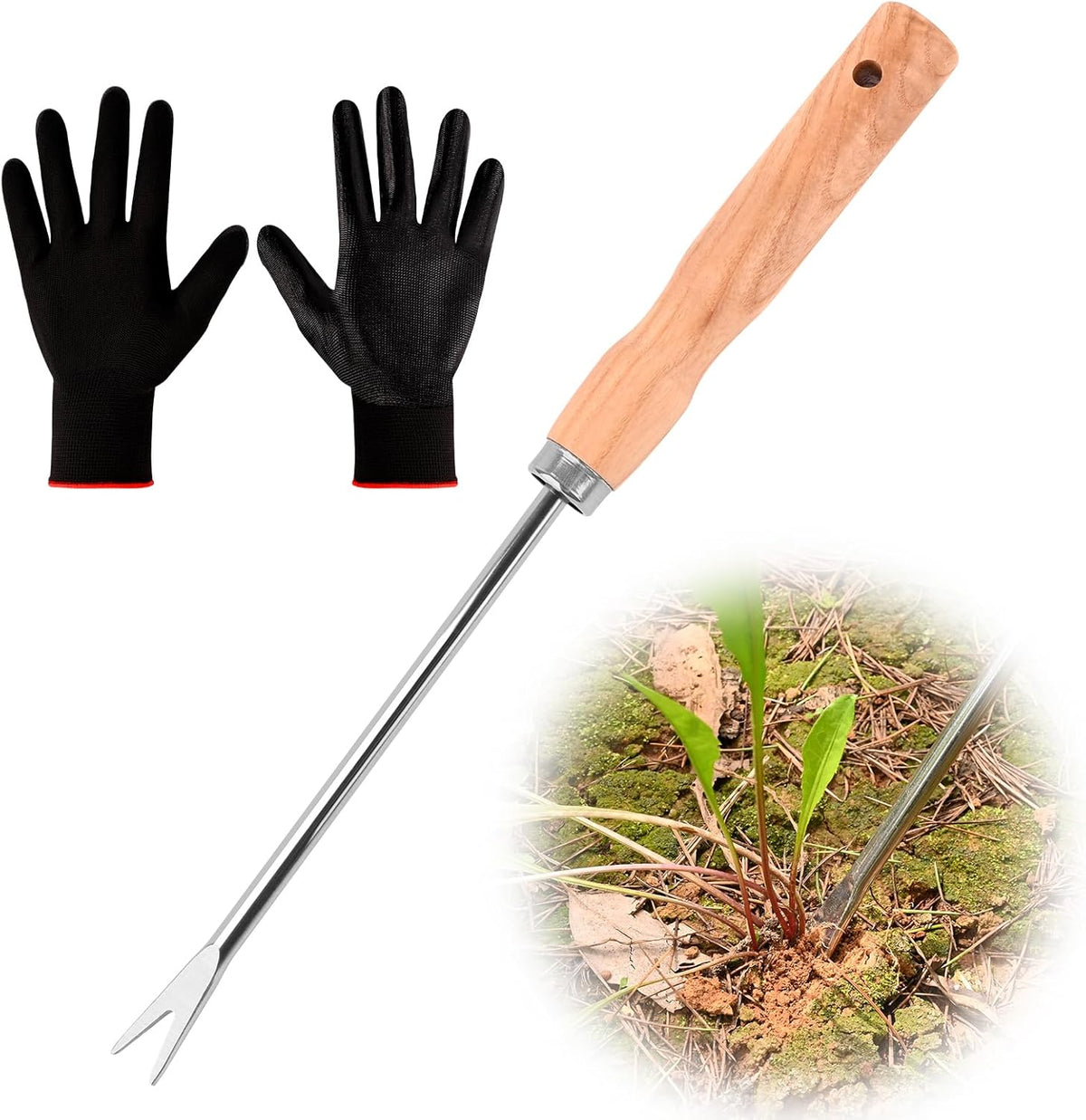 Wooden Handle Dandelion Weeder Tool - Polished Stainless Steel Dual - Forked Head Dandelion Weeder