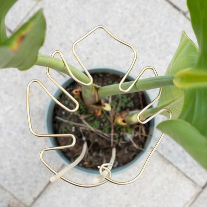 5PCS Plant Stem Support - Durable Monstera Stabilizer Grapple Holder, Unique Design for Climbing