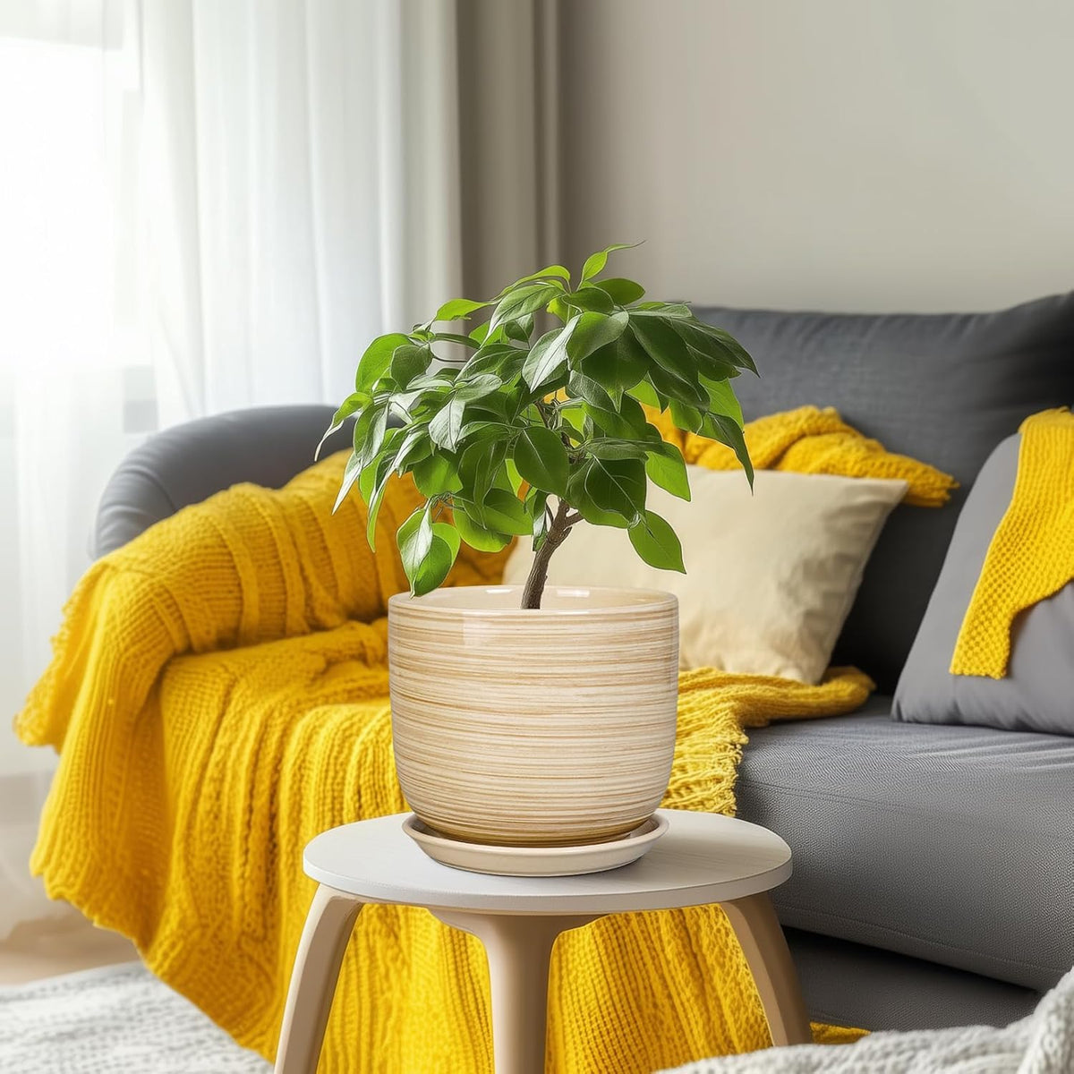 Indoor Plant Pot 8 Inch - Cylinder Modern Ceramic Planter for Indoor Outdoor Plants with Drainage