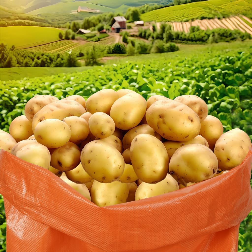 15Pcs Potato Sack Race Bags Large Size Game Race Bag for Carnival Easter Christmas School Outside