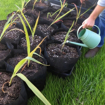 gardtree Plant Nursery Bags 7” x 7.87” 400PCS, Non-Woven Biodegradable Plant Grow Bags Fabric