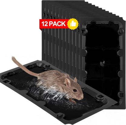 12 Pack Sticky Mouse Trap Rat Traps Indoor, Peanut Taste Pheromone Mouse Traps Indoor for Home