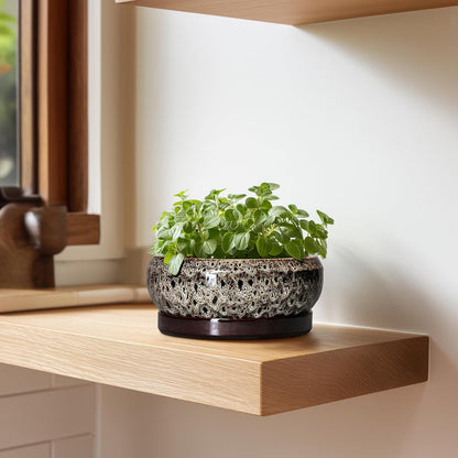 Succulent Planter 6 Inch - Ceramic Bonsai Pots with Drainage Hole and Tray, Shallow Plant Pot