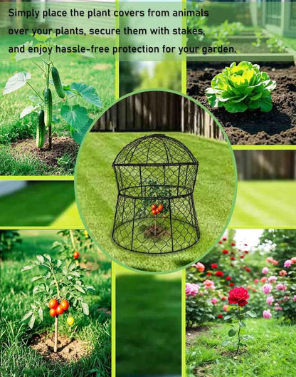 Garden Cloches for Plants 2 Pack Metal Plant Protectors from Animals Chicken Wire Cloche Updated