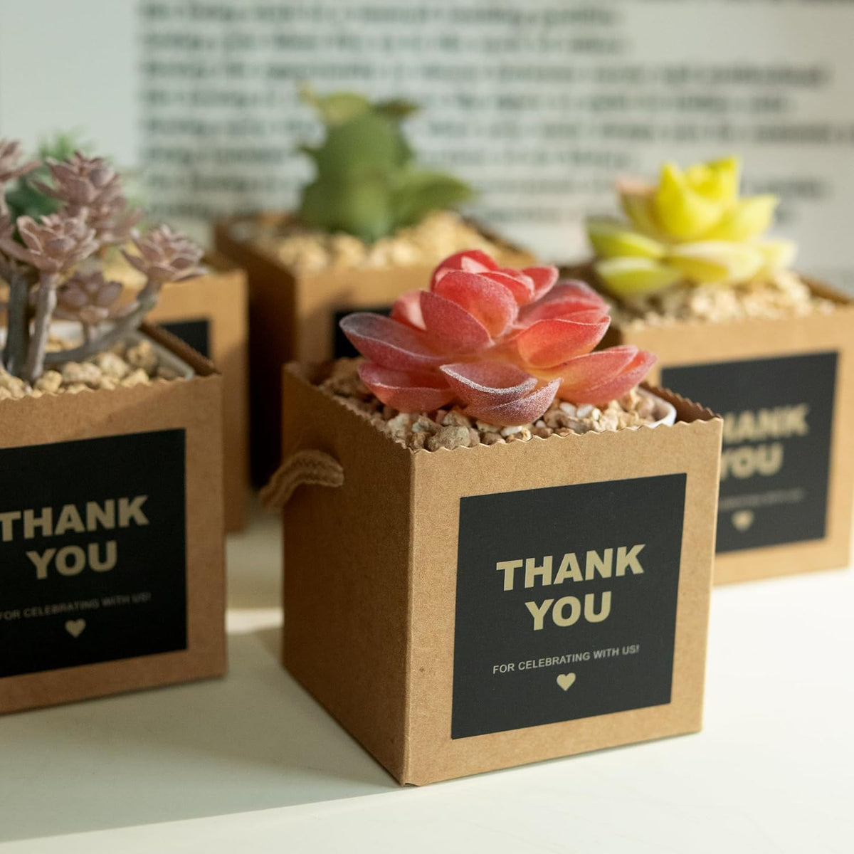 Temlum 2.5 Inch Succulent Wrap Bags (Fits 2.5″ Pots) with Thank You & Let Love Grow Stickers, Small