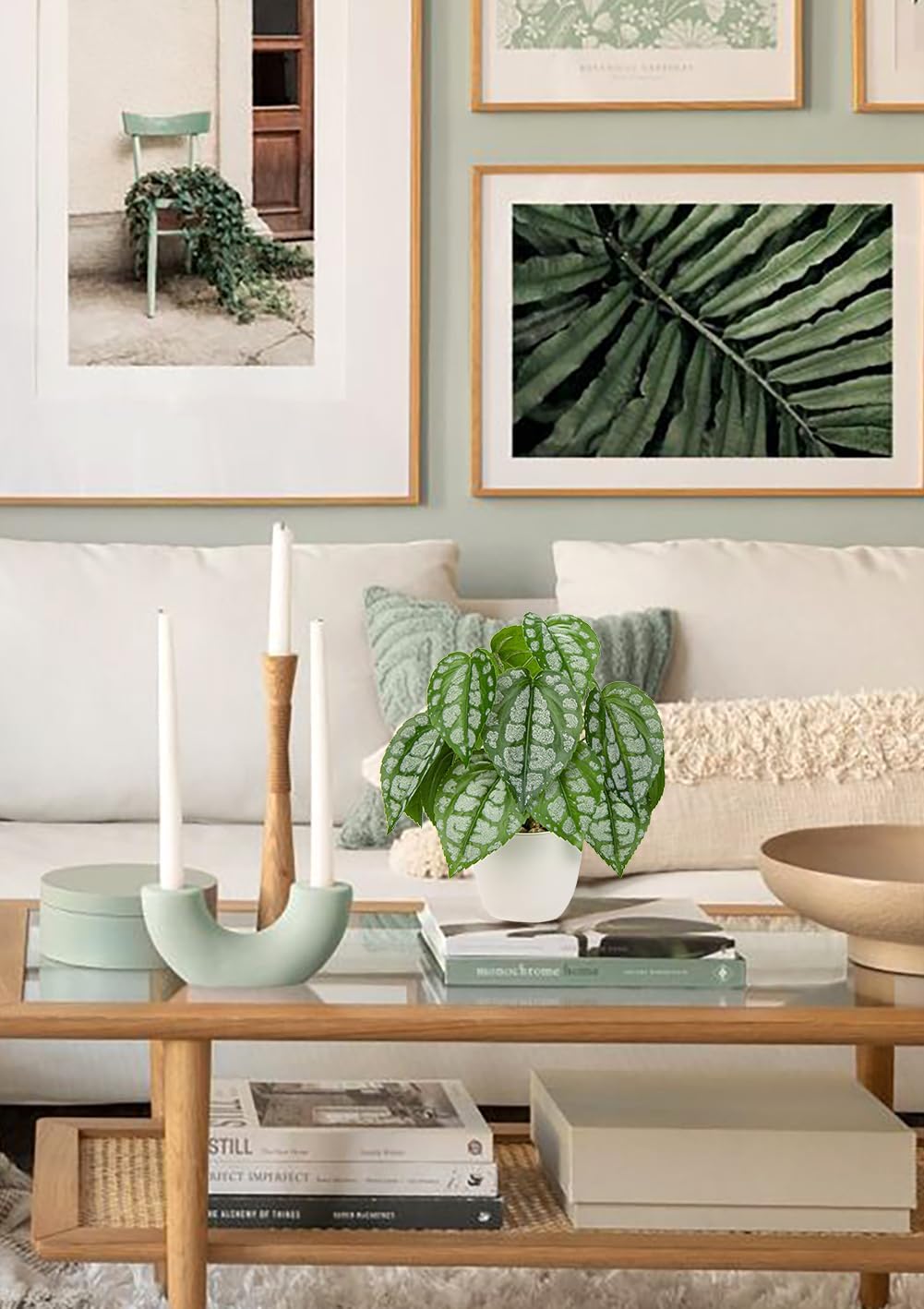 Fake Plants Small Faux Potted Plant 9.8 Inches Fake Piper Sylvaticum with Pot Artificial Plants
