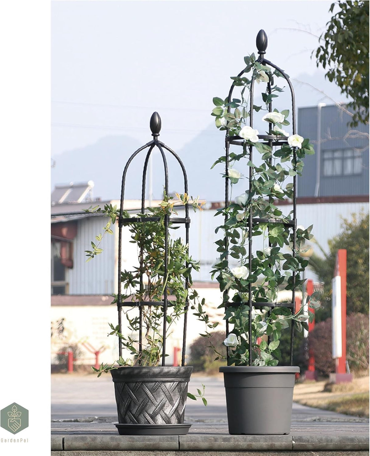 GardenPal Rustproof Metal Pipe Garden Obelisk Trellis, Tomato Cage and Plant Support for Climbing