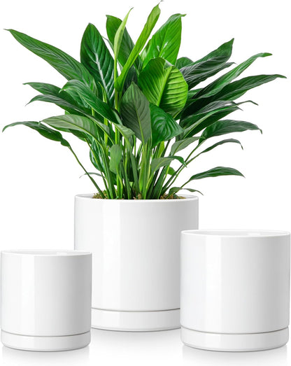 vancasso Ceramic Plant Pots, 3 Piece Planters for Indoor Plants, 4.25+5.25+6.25 Inch Flower Pots