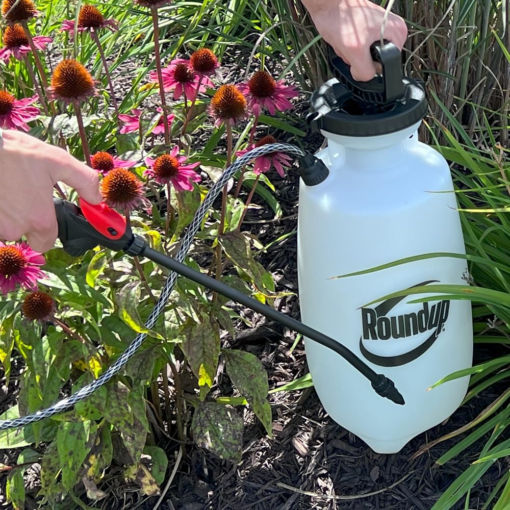 Roundup 190260 2-Gallon Lawn and Garden Sprayer for Controlling Insects and Weeds or Cleaning Decks