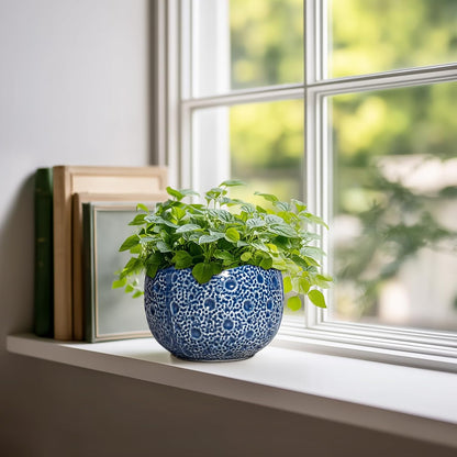 Orchid Pot - 6 Inch Ceramic Plant Pot for Indoor Outdoor, Round Unique Planters with Drainage Hole