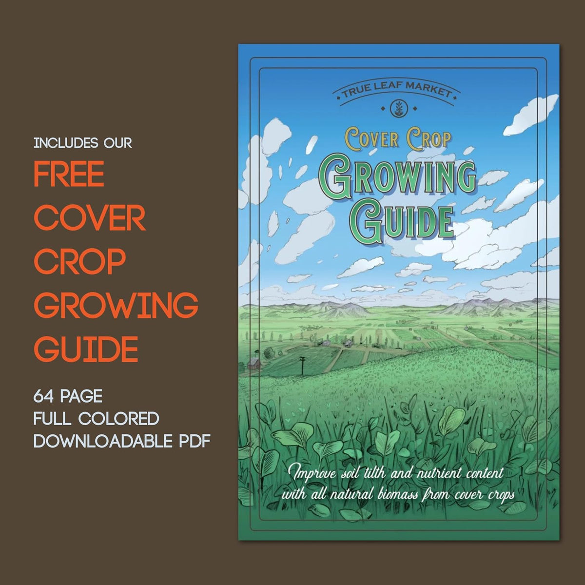 No-Till Forage Friendly Cover Crop Seed Mix – 5 lb, Covers 1,000 Sq. Ft. – 9 Winter-Kill Varieties