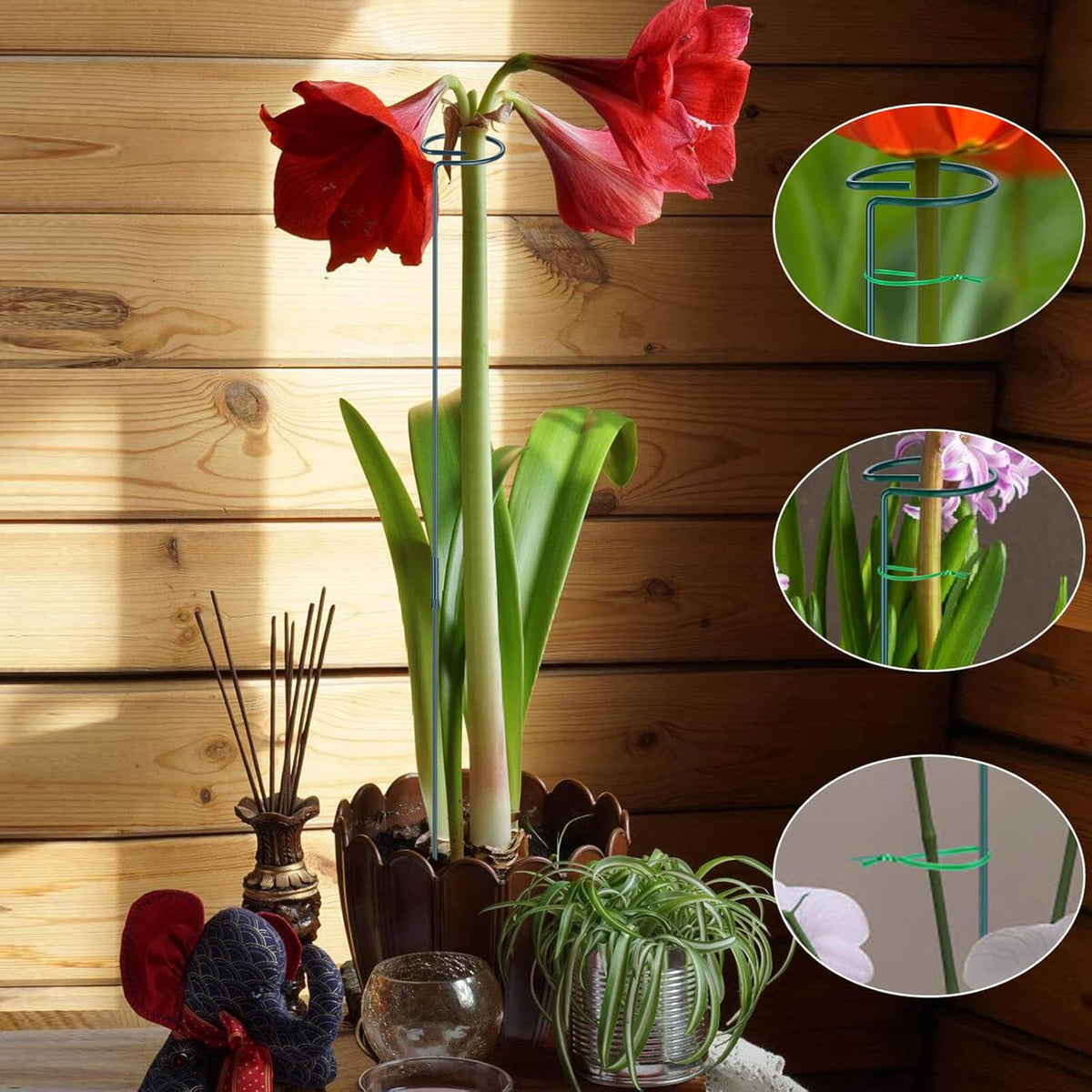 4 Pack Plant Support Stakes, 16/32 Inch Garden Stakes for Plants, Plant Accessories with 50 PCS