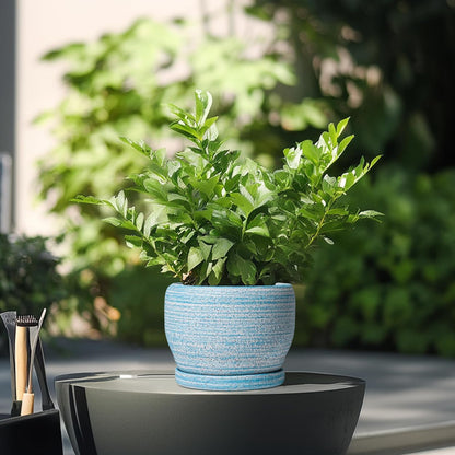 SQOWL Ceramic Planters for Indoor Plants - 6 Inch Plant Pot Indoor Outdoor, Decorative Flower Pot