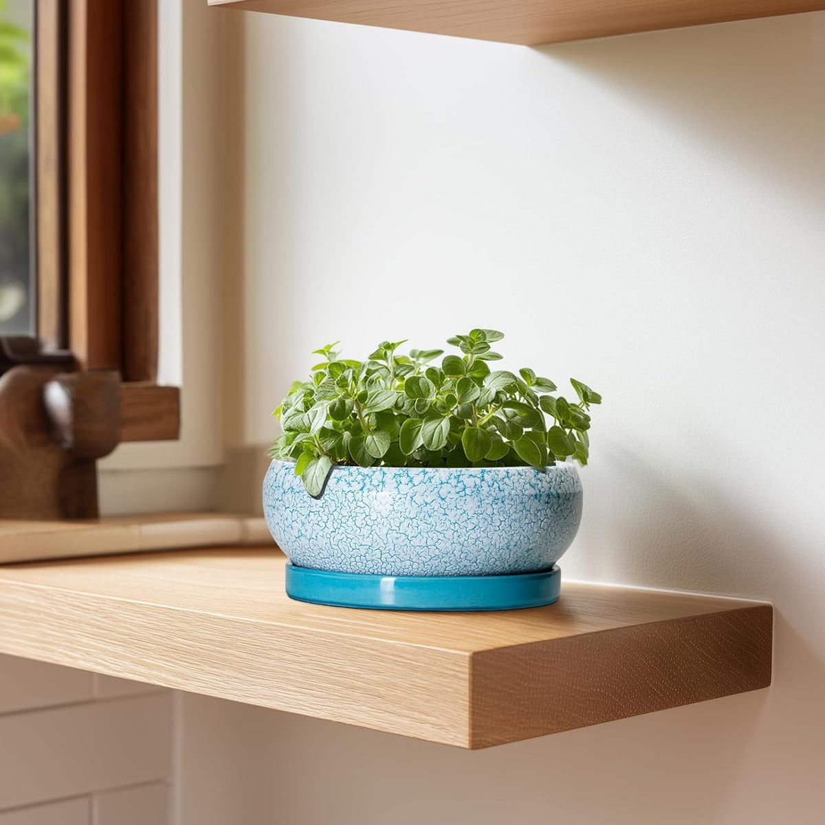 Bonsai Pots Small - 6 Inch Succulent Pots with Drainage Hole and Saucer, Succulent Planters for