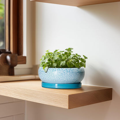 Bonsai Pots Small - 6 Inch Succulent Pots with Drainage Hole and Saucer, Succulent Planters for