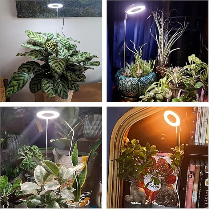Grow Lights for Indoor Plants, Full Spectrum Plant Lights for Indoor Growing, Height Adjustable