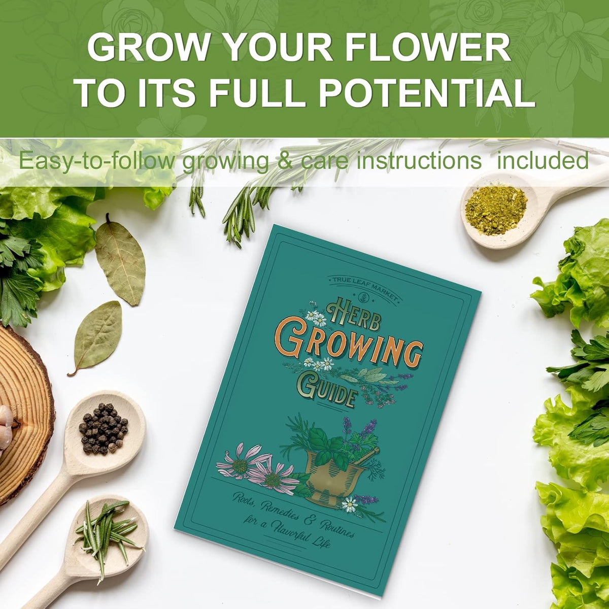 5 Herb Seeds Garden Starter Kit with Complete Planting Kit & Wooden Flower Box, Growing into Basil