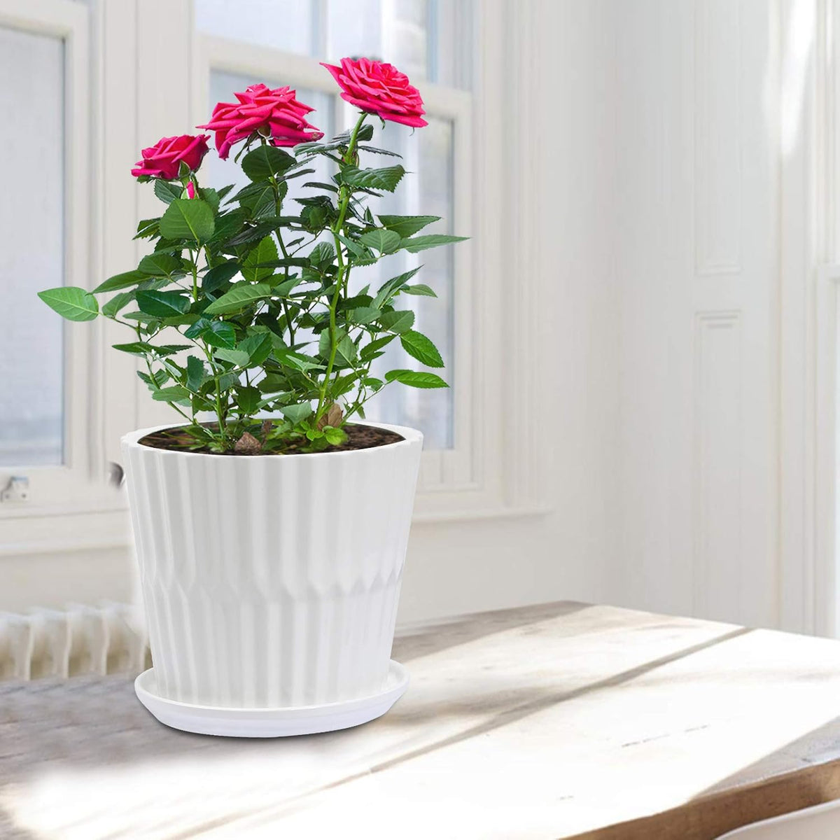 Plant Pots - 6.7 Inch Cylinder Ceramic Planters with Connected Saucer, Pots for Succuelnt and