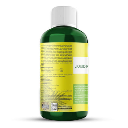 Organic Premium Kelp Seaweed Fertilizer for Jade - Liquid Fertilizer - Liquid Plant Food