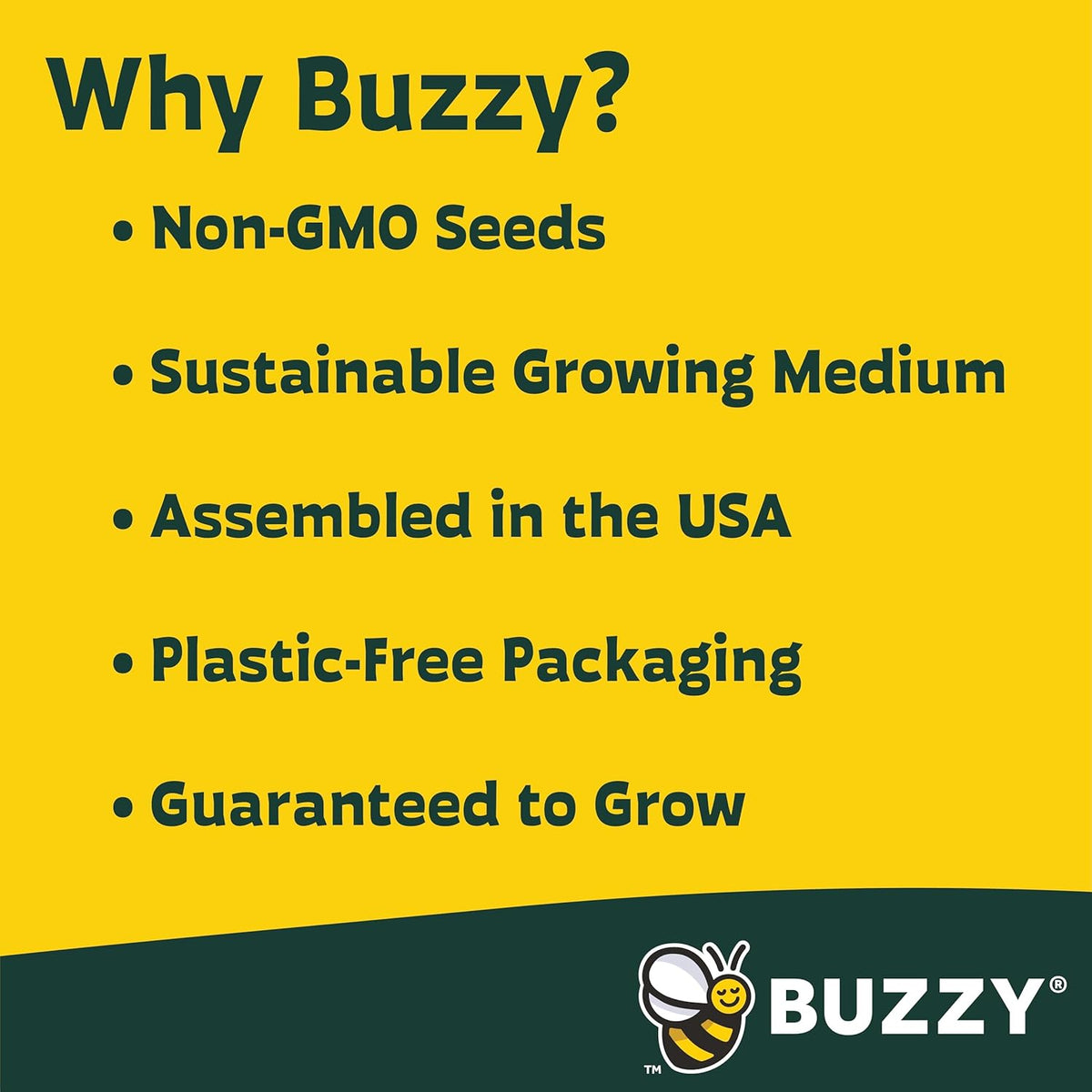 BUZZY Seeds Gardening Kits|Sunflower Seeds to Plant|Flower Starter Kit for Kids & Adults|Terracotta
