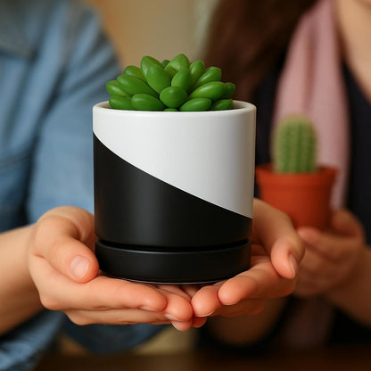 D'vine Dev 3.5 Inch Ceramic Planter Pot with Drainage Hole and Saucer, Indoor Cylinder Round