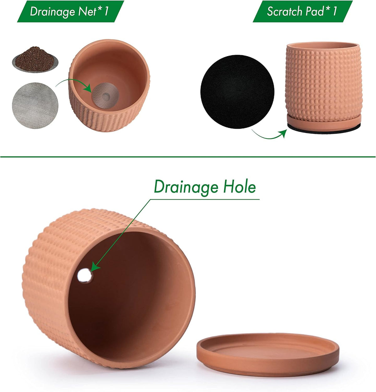 D'vine Dev 6 Inch Terracotta Beaded Planter Pot - Flower Pot with Drainage Hole and Saucer for