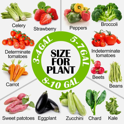 3 Gallon Grow Bags 6 Pack,Premium 3 Gallon Fabric pots for Healthy Plant Growth - Durable and