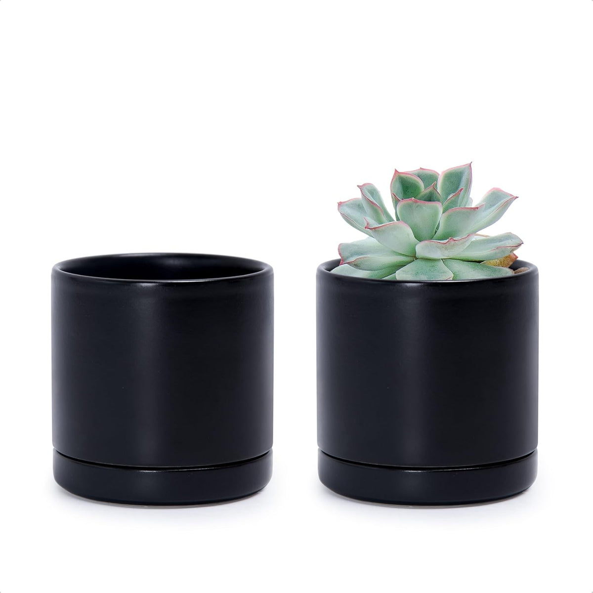 D'vine Dev Set of 2 Plants Pots, 3.5 Inch Ceramic Planter Pot for Plants with Drainage Hole and