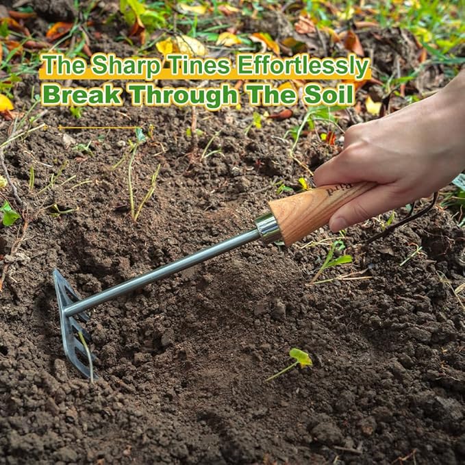 Berry&Bird Premium Hand Rake for Gardening, 5 Tines Hand Tiller Hand Cultivator Small Rake Garden