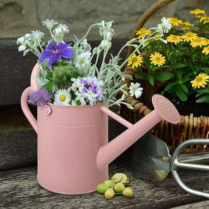Metal Watering Can with Removable Spout, Galvanized Watering Can, Perfect for Indoor Use and for