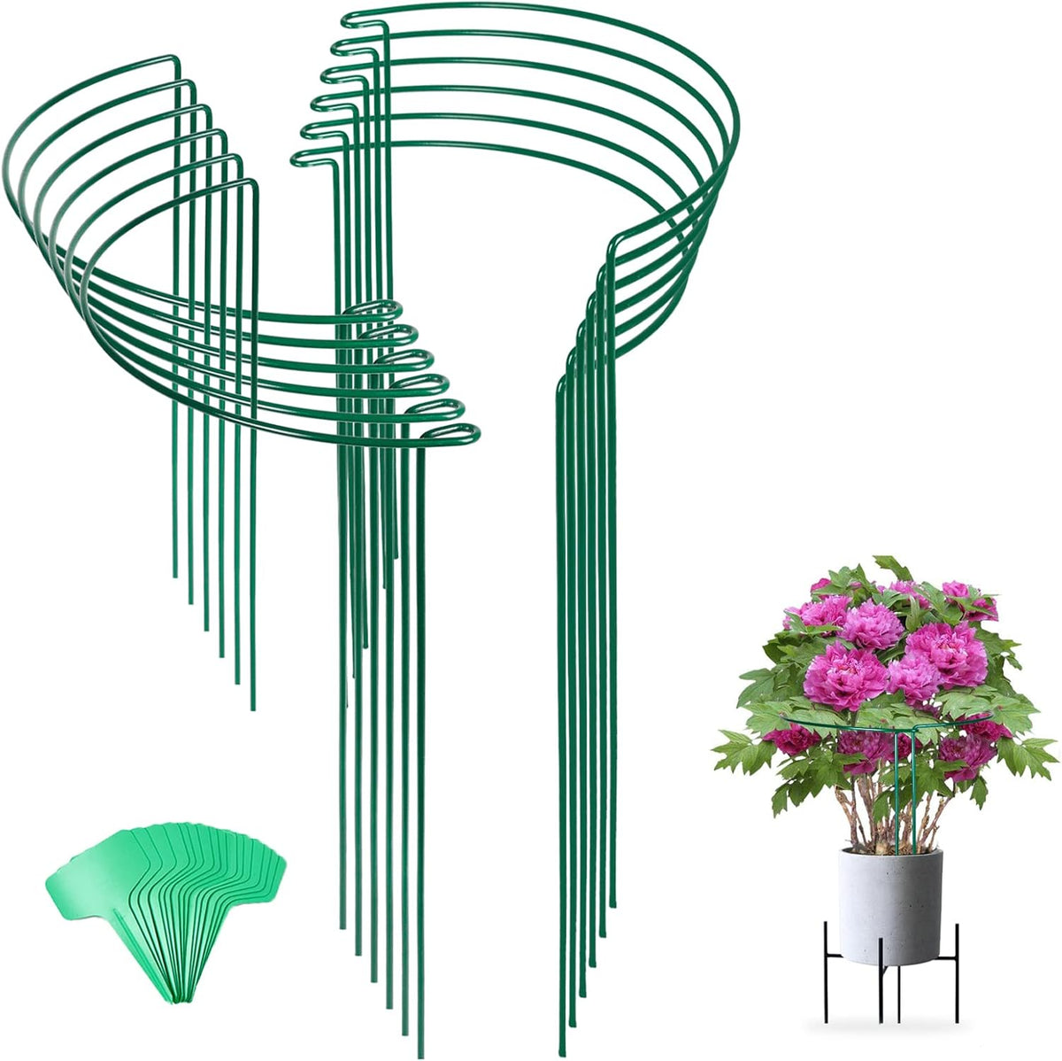 Joyhalo 12 Pack Tall Snake Plant Support Stakes for Indoor Plants 24 Inch, Peony Cages and