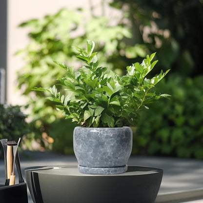 SQOWL 6 Inch Plant pots Indoor - Ceramic Planter with Drainage Hole and Saucer, Ceramic Flower Pot