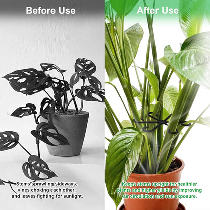 12pcs Climbing Houseplant Stem Supports,Plant stem Support Indoor Outdoor Use,Stem Hook Growth