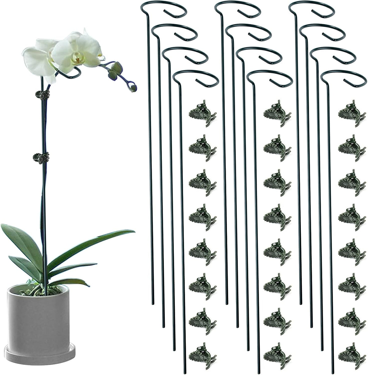 12 Pack Plant Support Stakes with 24 Pcs Plant Clips, Garden Single Stem Support Stake, Plant Cage