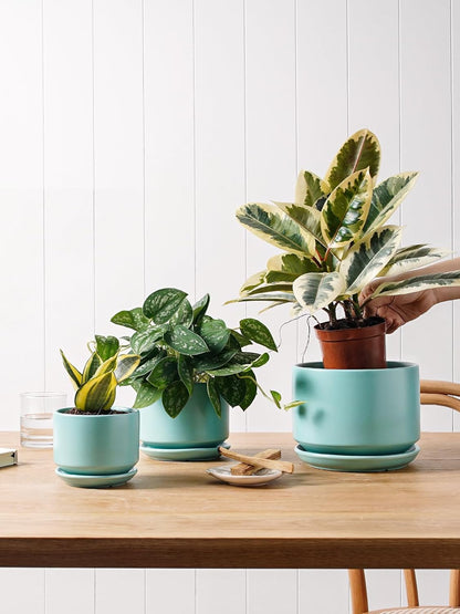 LE TAUCI Ceramic Plant Pots, 4.3+5.3+6.8 inch, Set of 3, Planters with Drainage Hole and Saucer