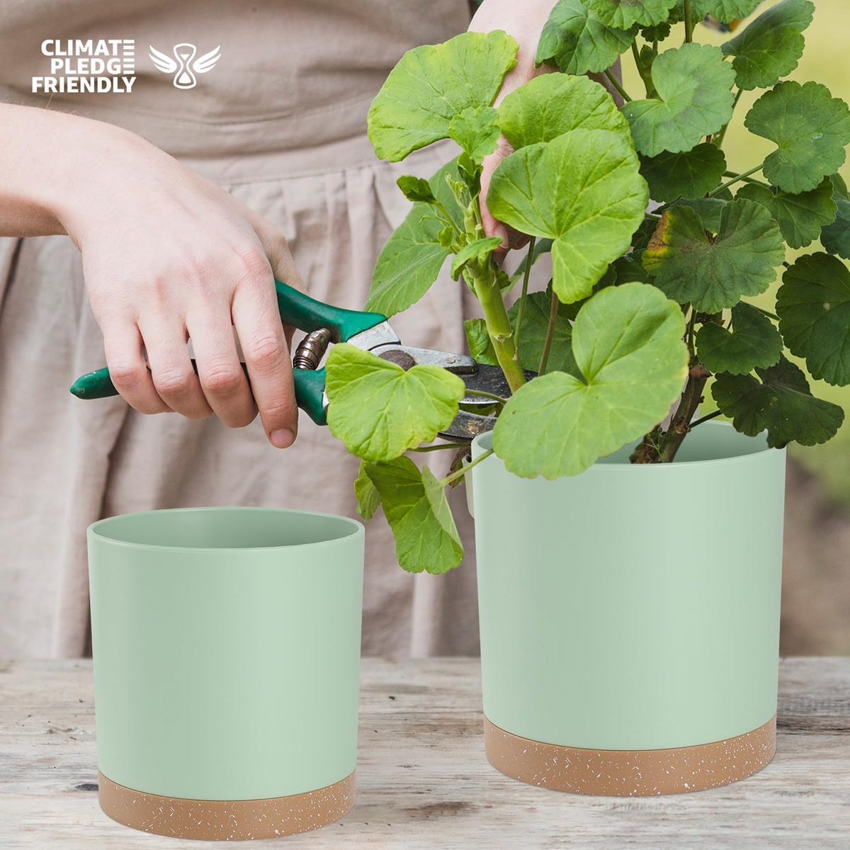 Plant Pots with Drainage Holes and Saucers – 7, 6.5, 6, 5, 4 Inch Plastic Planters for Indoor