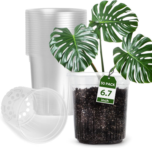 1 Gallon Reinforced Clear Nursery Pots with Drainage Hole, 30 Packs, 6.7 Inch Transparent Pots for