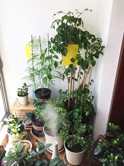 Faicuk Yellow Dual-Sided Sticky Fly Traps for Plant Insect Like Aphids, Fungus Gnats, Leaf Miners