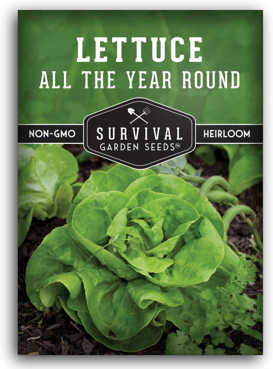 All The Year Round Lettuce Seed for Planting - 1 Packet with Instructions to Plant & Grow Adaptable