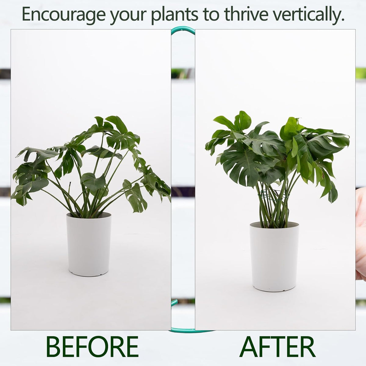 5PCS Monstera Plant Stem Support 7.3*6.25IN Adjustable Holder for Indoor Plants, Durable Metal