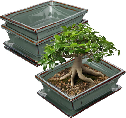 Ceramic Bonsai Pots with Drainage Trays Set of 2, Green Glazed Bonsai Planters for Indoor/Outdoor