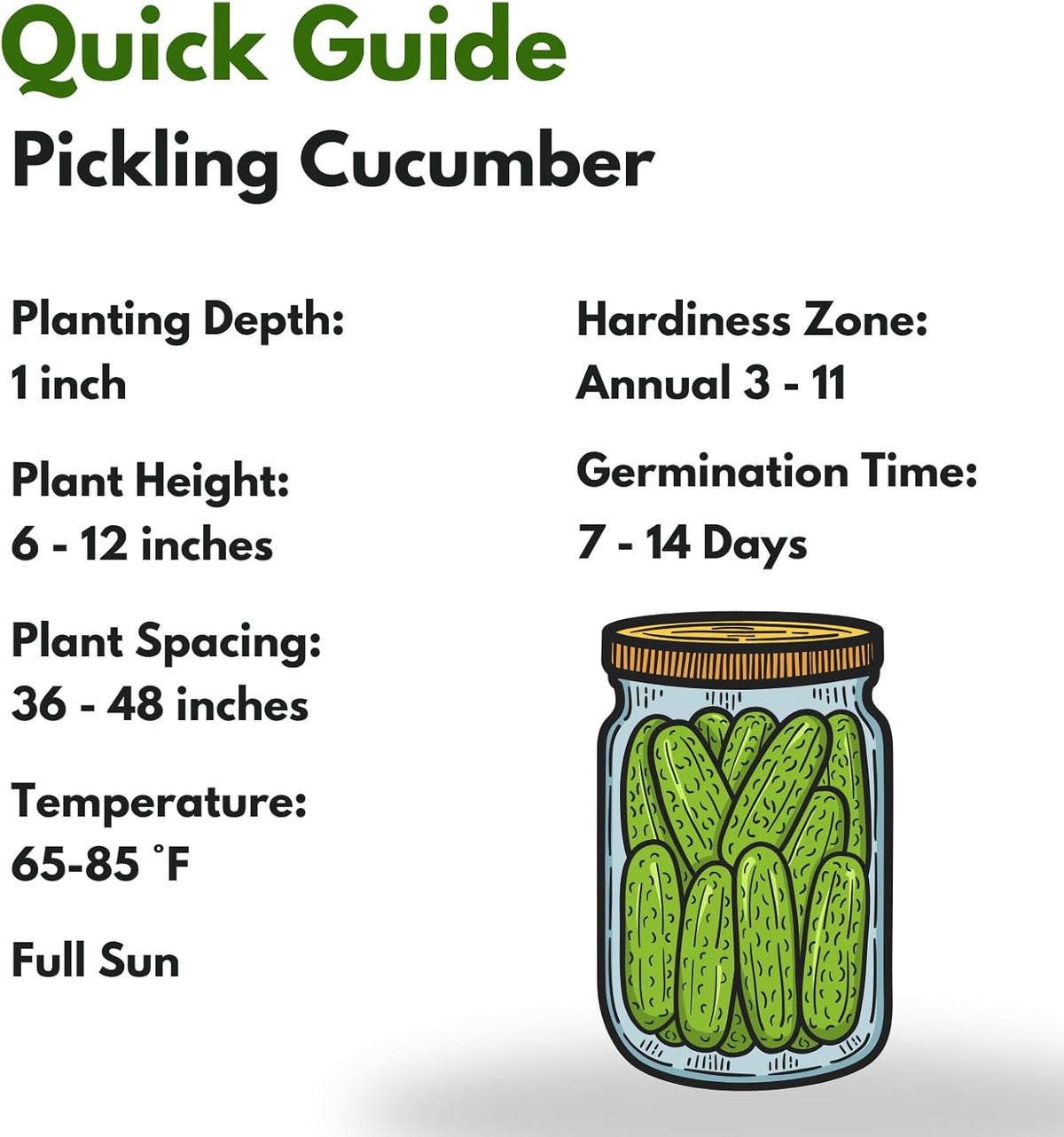 Over 150 Pickling Cucumber Seeds – Organic Heirloom, Non-GMO, High Germination Rate – Perfect for