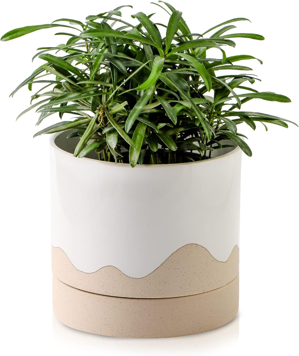 Nihow Ceramic Plant Pot: 6 Inch Planter with Drainage Hole & Saucer for Indoor & Outdoor Plants